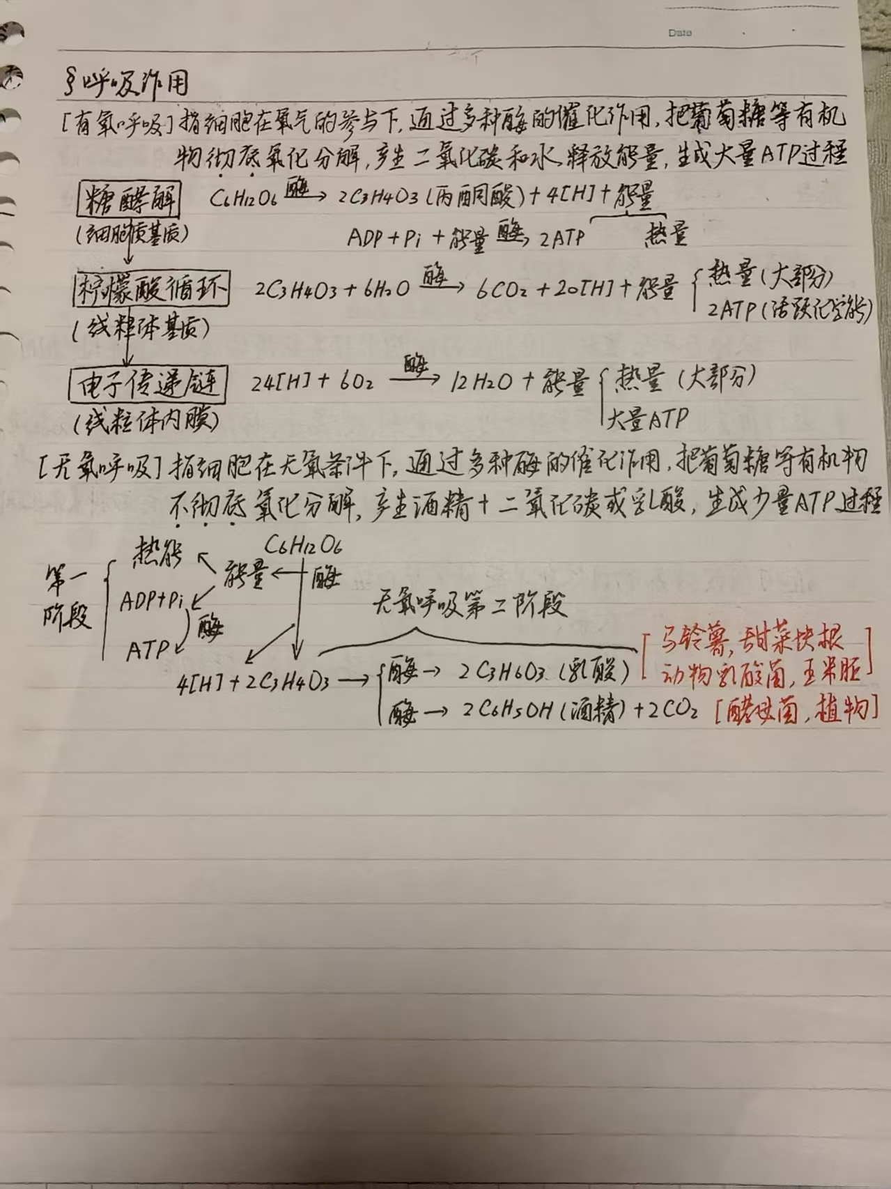 龚泽宇生物笔记