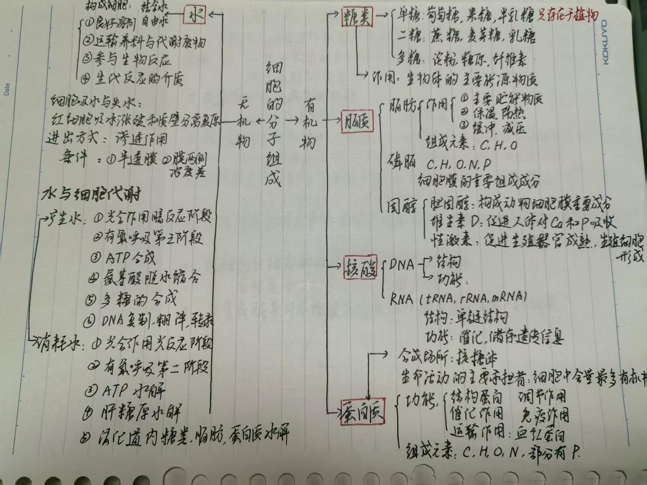 龚泽宇生物笔记