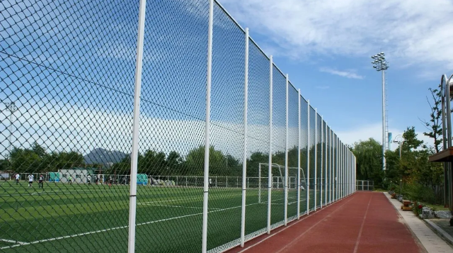 杭州网-杭州-新闻-门户-权威亲民-关注民生-国家重点新闻网站