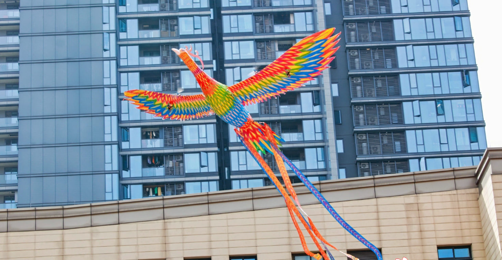图片 图片